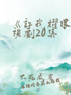 《许我耀眼》电视剧20集