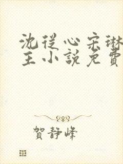 沈从心宋琳双女主小说免费阅读