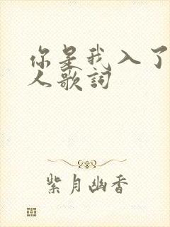 你是我入了心的人歌词