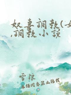奴妻调教(女m,调教小说