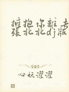 拥抱你离去原唱张北北dj版