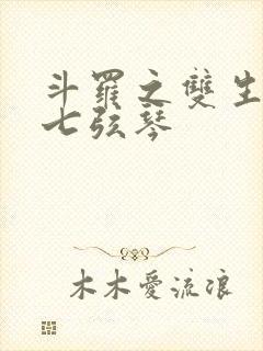 斗罗之双生武魂七弦琴