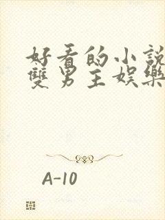 好看的小说推荐双男主娱乐圈