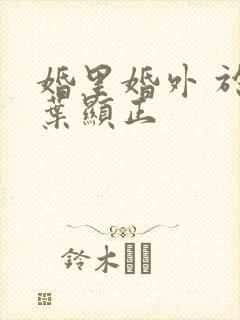 婚里婚外 于鑫叶显正