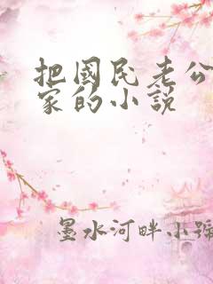 把国民老公带回家的小说