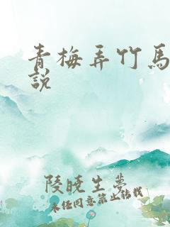 青梅弄竹马的小说