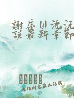 谢序川沈沅珠小说最新章节免费阅读