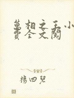 万相之王小说免费全文阅