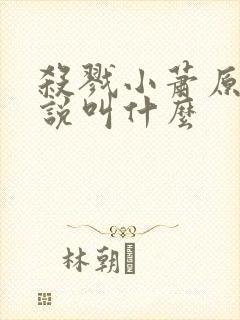 杀戮小萧原著小说叫什么