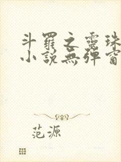 斗罗之灵珠神剑小说无弹窗全文免费阅读