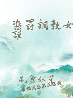 惩罚调教女奴小说