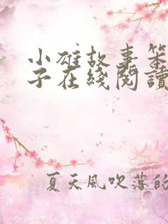 小雄故事笨蛋英子在线阅读