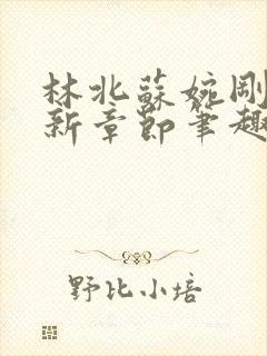 林北苏婉刚刚更新章节笔趣阁