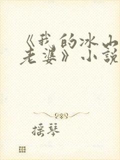 《我的冰山美女老婆》小说