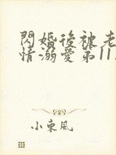 闪婚后被老公深情溺爱第11集