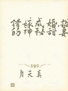 错嫁成婚,总裁的神秘甜妻