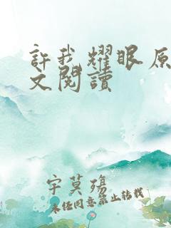 许我耀眼原著全文阅读