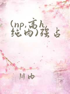 (np,高h,纯肉)强占