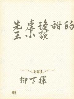 先虐后甜的双男主小说