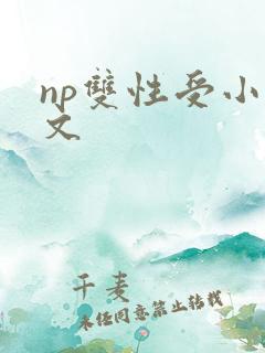 np双性受小说文