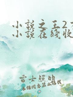 小说之王2有声小说在线收听