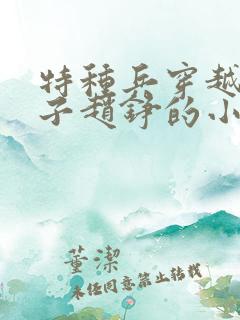 特种兵穿越成皇子赵铮的小说