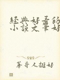 经典好看的言情小说文笔好的