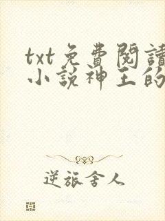 txt免费阅读小说神王的宠妃