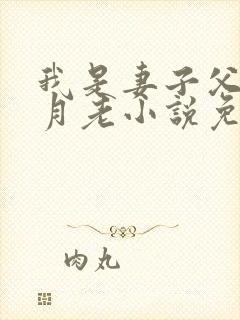 我是妻子父亲的月老小说免费阅读