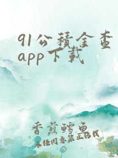 91公积金查询app下载