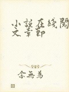 小说在线阅读全文章节
