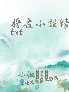 将夜小说精校版txt