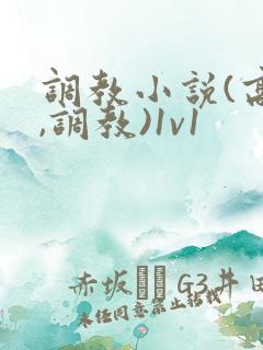 调教小说(高h,调教)1v1