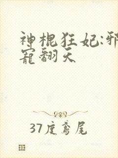 神棍狂妃:邪王宠翻天