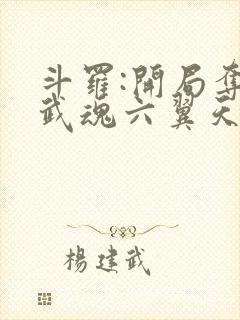 斗罗:开局夺舍武魂六翼天使