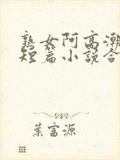 熟女阿高潮高h短篇小说合集