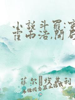 小说斗罗:穿越霍雨浩,开局拜师药老大结局