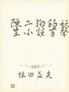 陈二狗的妖孽人生小说有声书免费