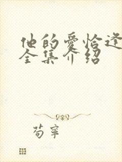 他的爱恰逢其时全集介绍