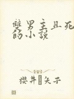 双男主且死对头的小说