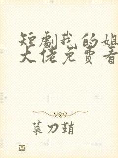 短剧我的姐姐是大佬免费看