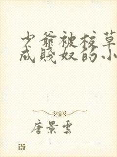 少爷被校草调教成贱奴的小说