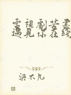 电视剧苦尽柑来遇见你在线观看免费完整版