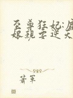 至尊狂妃:废材娘亲要逆天