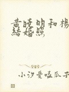 黄晓明和杨颖的结婚照