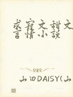 求宠文甜文现代言情小说