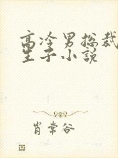 高冷男总裁怀崽生子小说