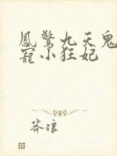 凤惊九天鬼帝溺宠小狂妃