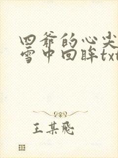 四爷的心尖宠妃雪中回眸txt下载