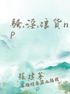 骚,淫,浪货np